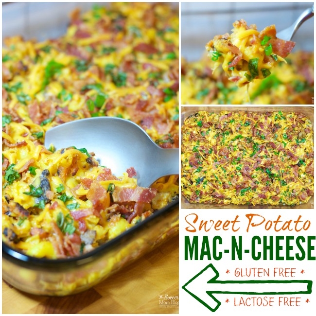 Rich, creamy, savory...and GOOD for you?! This Sweet Potato Mac & Cheese will satisfy your cravings PLUS it's gluten free, lactose free, & full of veggies!