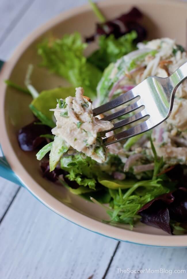 close up of chicken salad on a fork