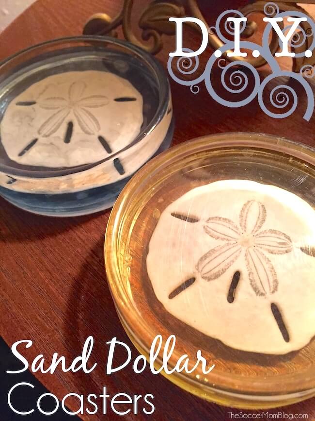 coasters made from resin with sand dollars in the middle.