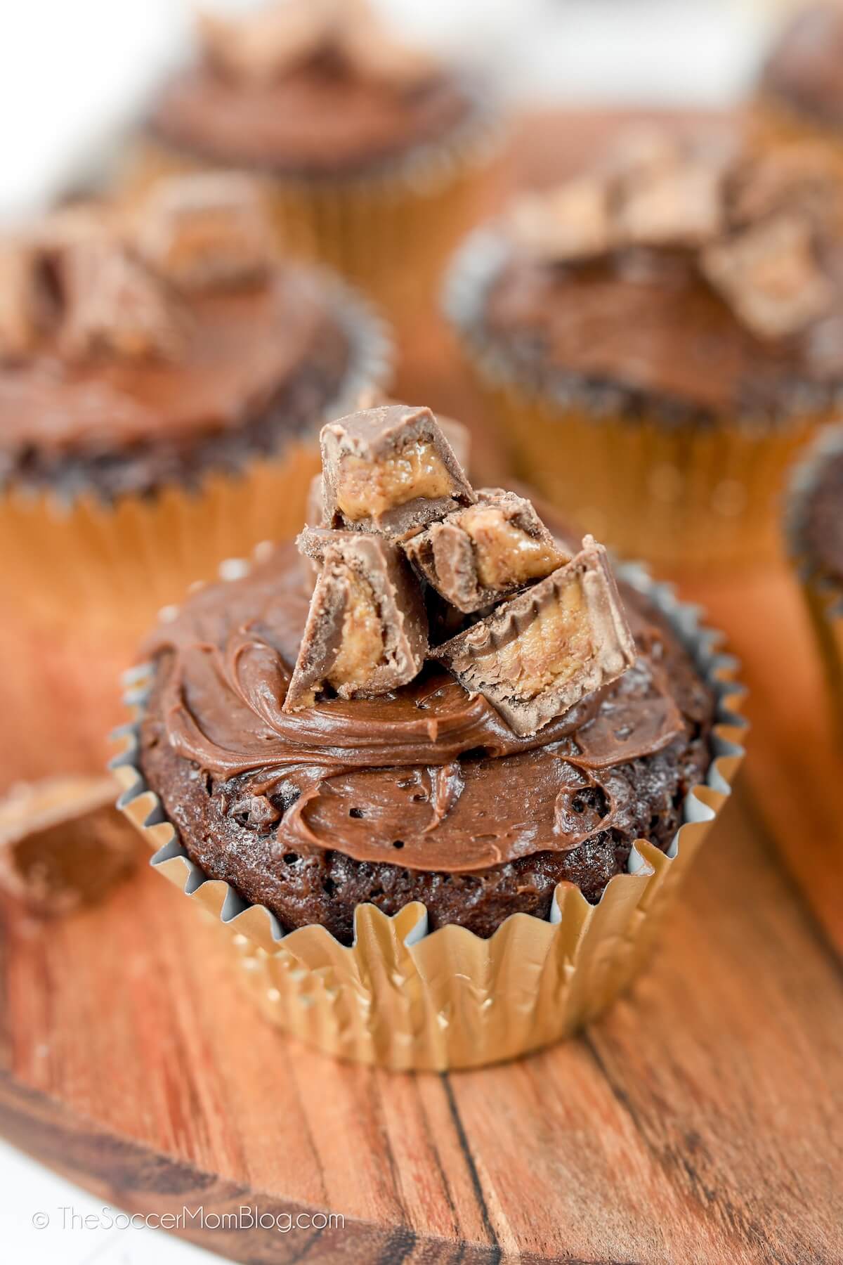 chocolate cupcakes topped with chopped peanut butter cups