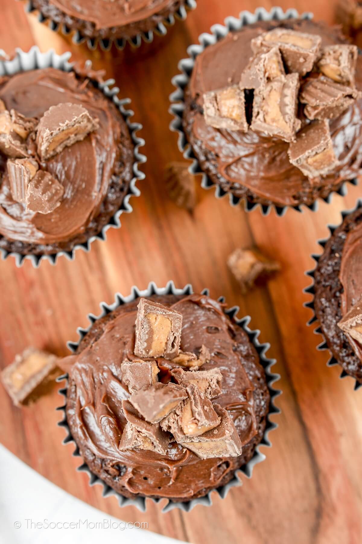 bird's eye view of chocolate cupcakes with peanut butter cup pieces on top
