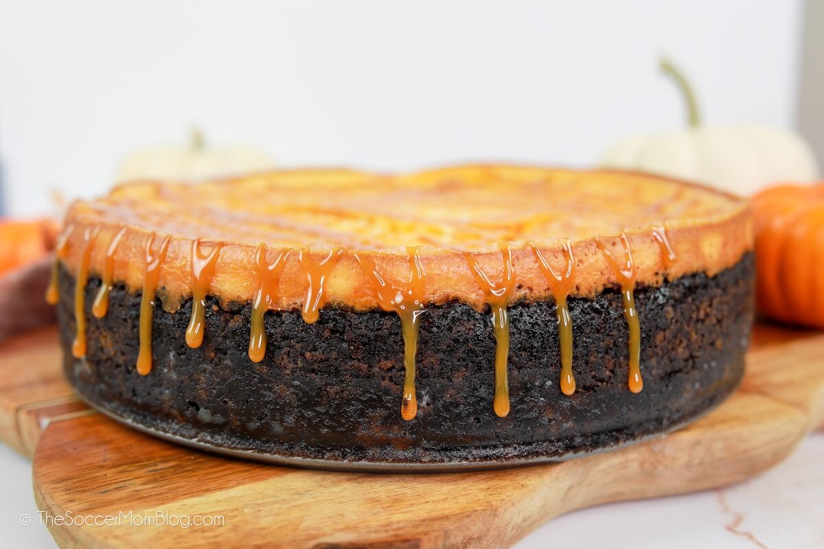 close up of the side of a pumpkin cheesecake with chocolate crust