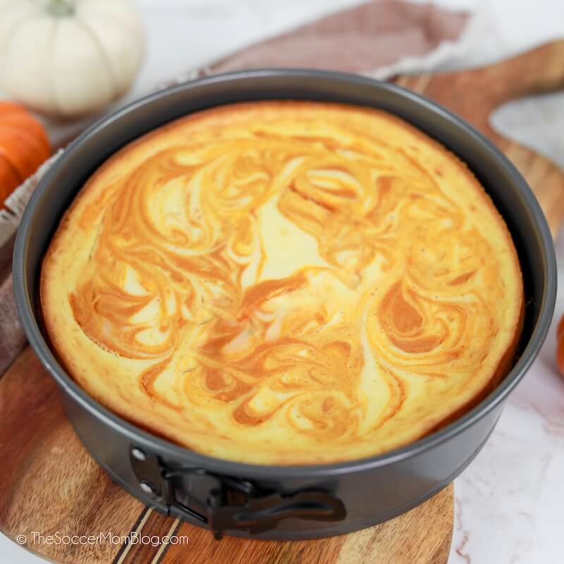 marbled pumpkin cheesecake in springform pan