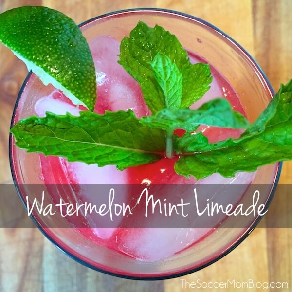 watermelon limeade with mint leaves