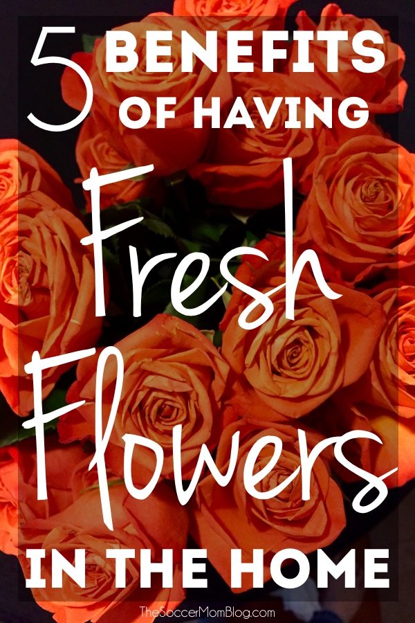 Fresh flowers are beautiful, but they're actually good for you too! Five benefits of having fresh flowers in the home (Sponsored by BloomsyBox)