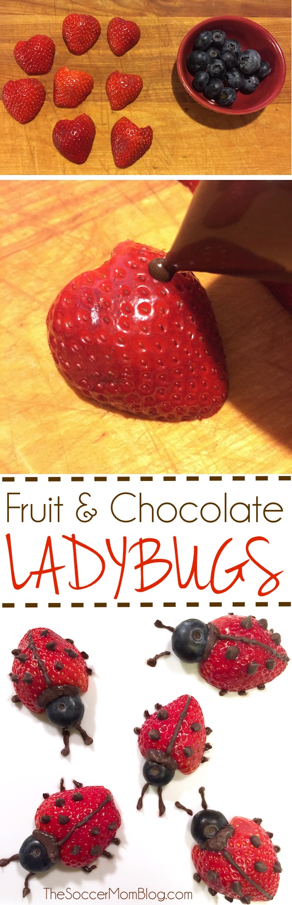 These easy fruit ladybugs make eating fruit fun! A healthy snack or dessert for kids that they will love to eat!