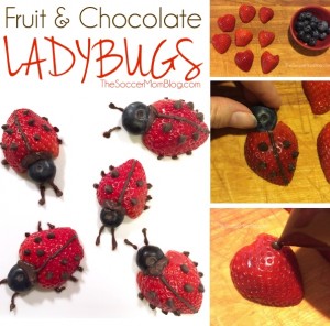 These easy fruit ladybugs make eating fruit fun! A healthy snack or dessert for kids that they will love to eat!