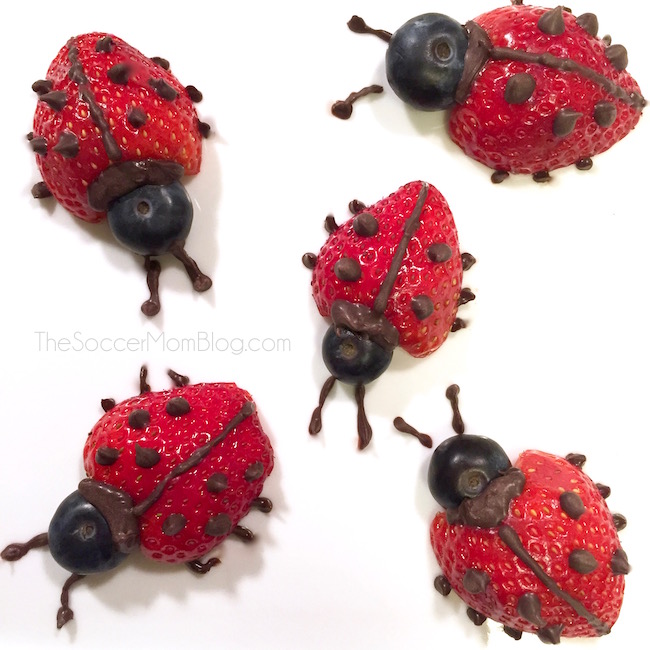ladybug snacks made with strawberries and chocolate