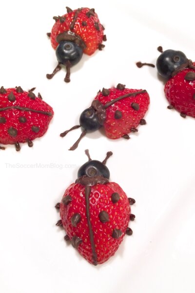 strawberries decorated with chocolate to look like ladybugs.