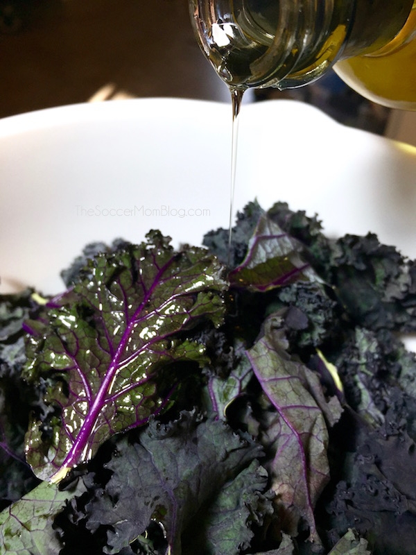 Forget paying $10/bag in a specialty store! Make your own super-healthy, delicious, and GORGEOUS baked purple kale chips at home with this simple recipe!