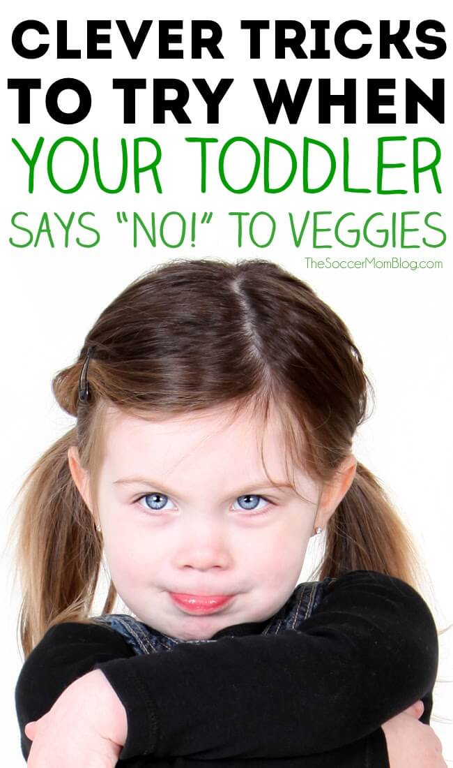 Picky toddler stage? When your toddler won't eat vegetables it can be worrisome as a parent! Try these tips to get your toddler to LOVE the "healthy stuff!" 