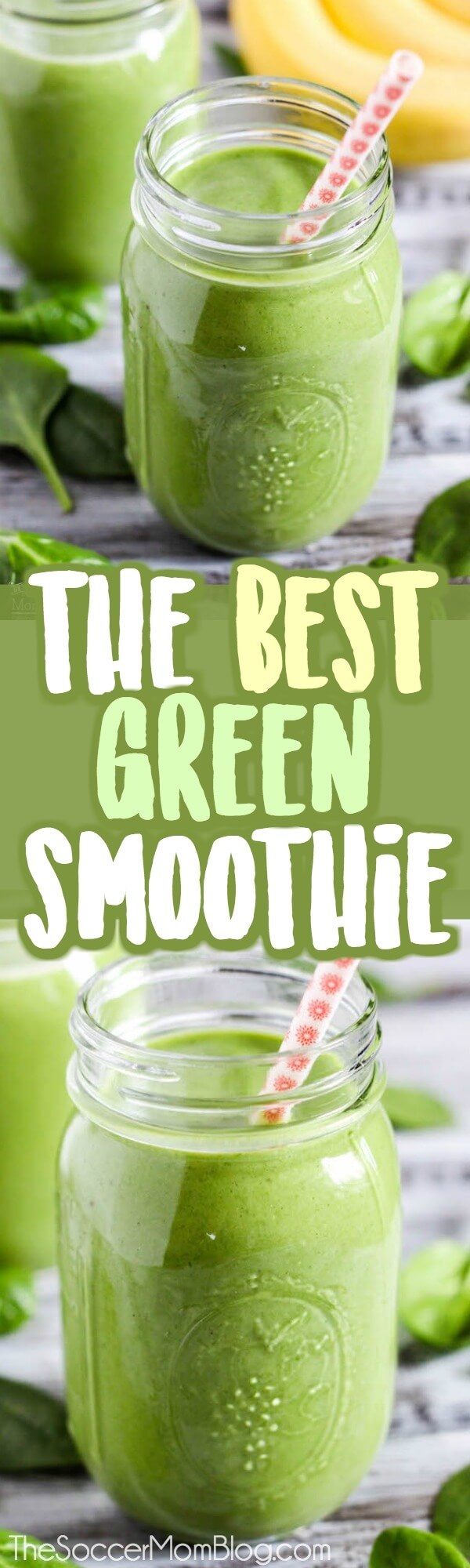 Green, good-for-you, AND tastes amazing?! Seriously, this is the BEST green protein smoothie ever! Forget those slimy-looking drinks you USED to choke down in the name of health...this healthy green smoothie is absolutely delicious!! High protein - Gluten free - Dairy free - No added sugar