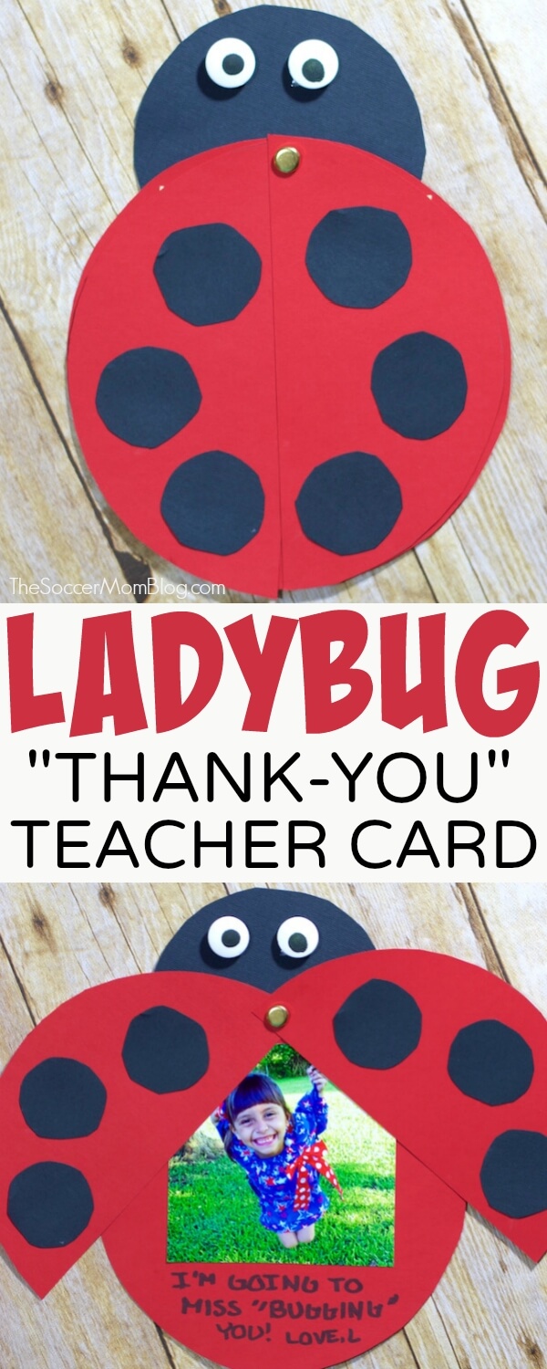 Show your appreciation for your hard-working educators with an adorable kid-made Ladybug Teacher Thank You Card. Easy paper craft and keepsake photo gift.