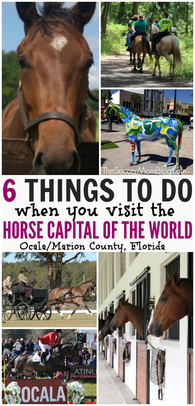 Why you should visit the Horse Capital of the World -- activities including stable tours, racing, riding lessons, camps, trail rides, and more!