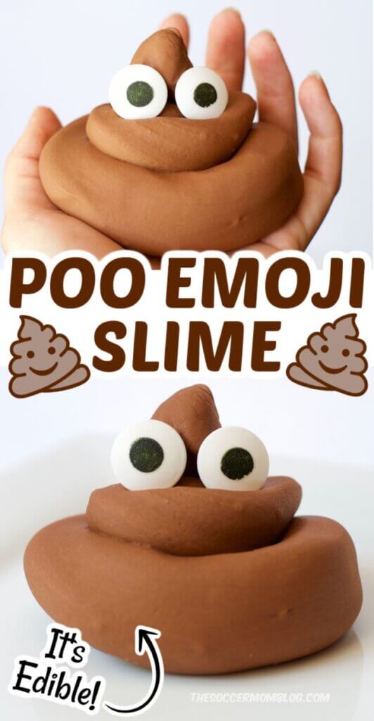 Chocolate Poop Emoji Slime