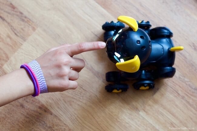 Want to offer you kids the fun of owning a pet, without all the work for mom and dad? Why a Chippies robot dog is the perfect way to go!