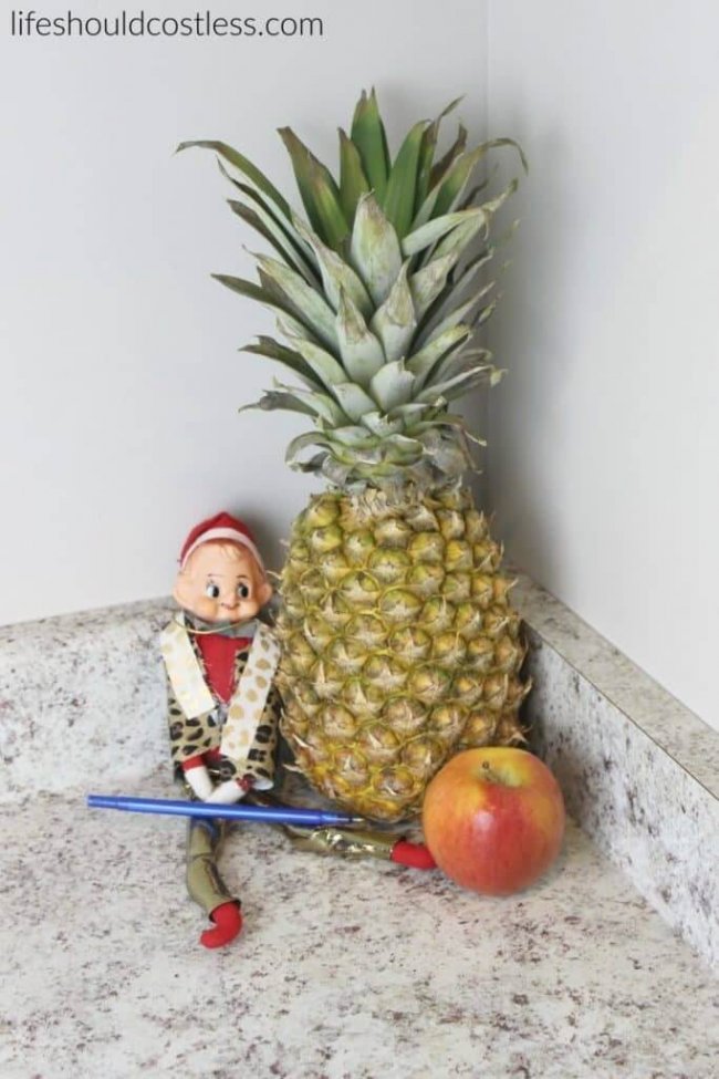 pineapple pen and elf