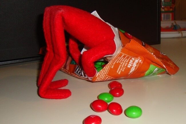 Elf sticking its head in a bag of M&Ms