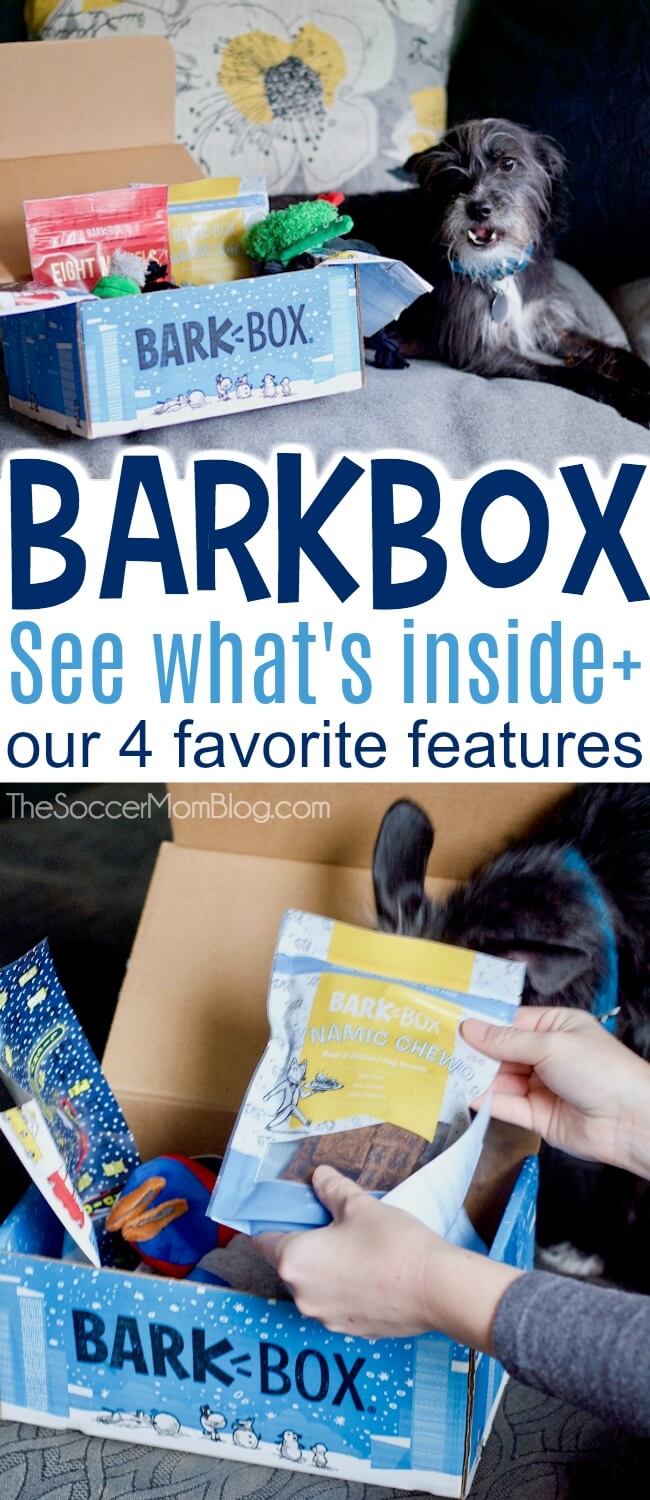 Ever wondered what's inside? This is our honest BarkBox review - what's included, how much it costs, & what makes this one of our top picks for dog lovers.