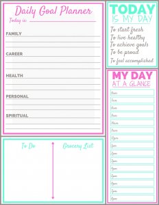 click here for free daily goal planner
