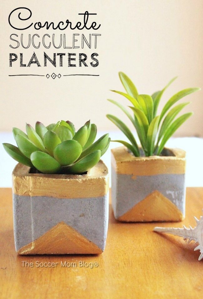 How to make chic gold and concrete succulent planters to bring a touch of green to your home.