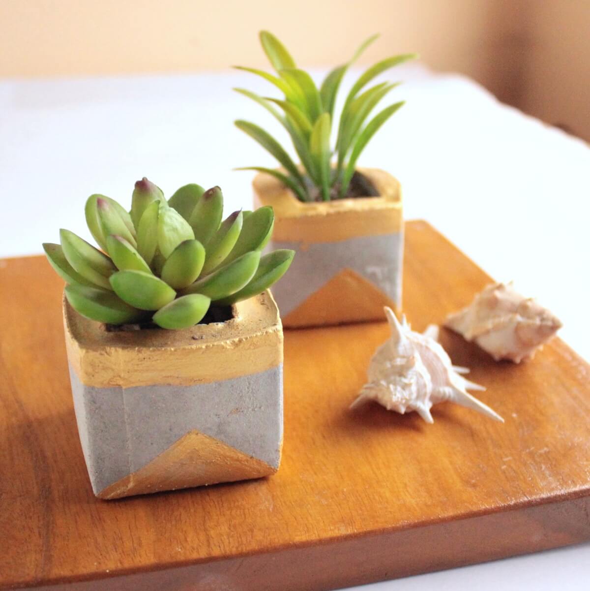 How to make cement planters for succulents and other small houseplants