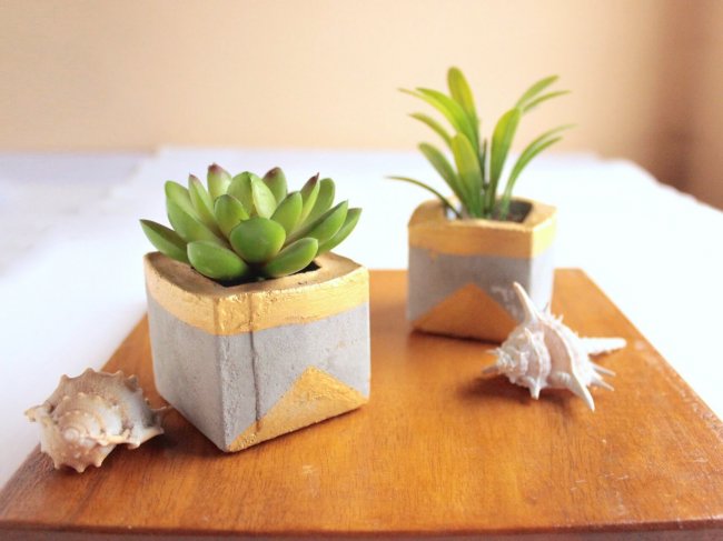 How to make chic gold and concrete succulent planters to bring a touch of green to your home.