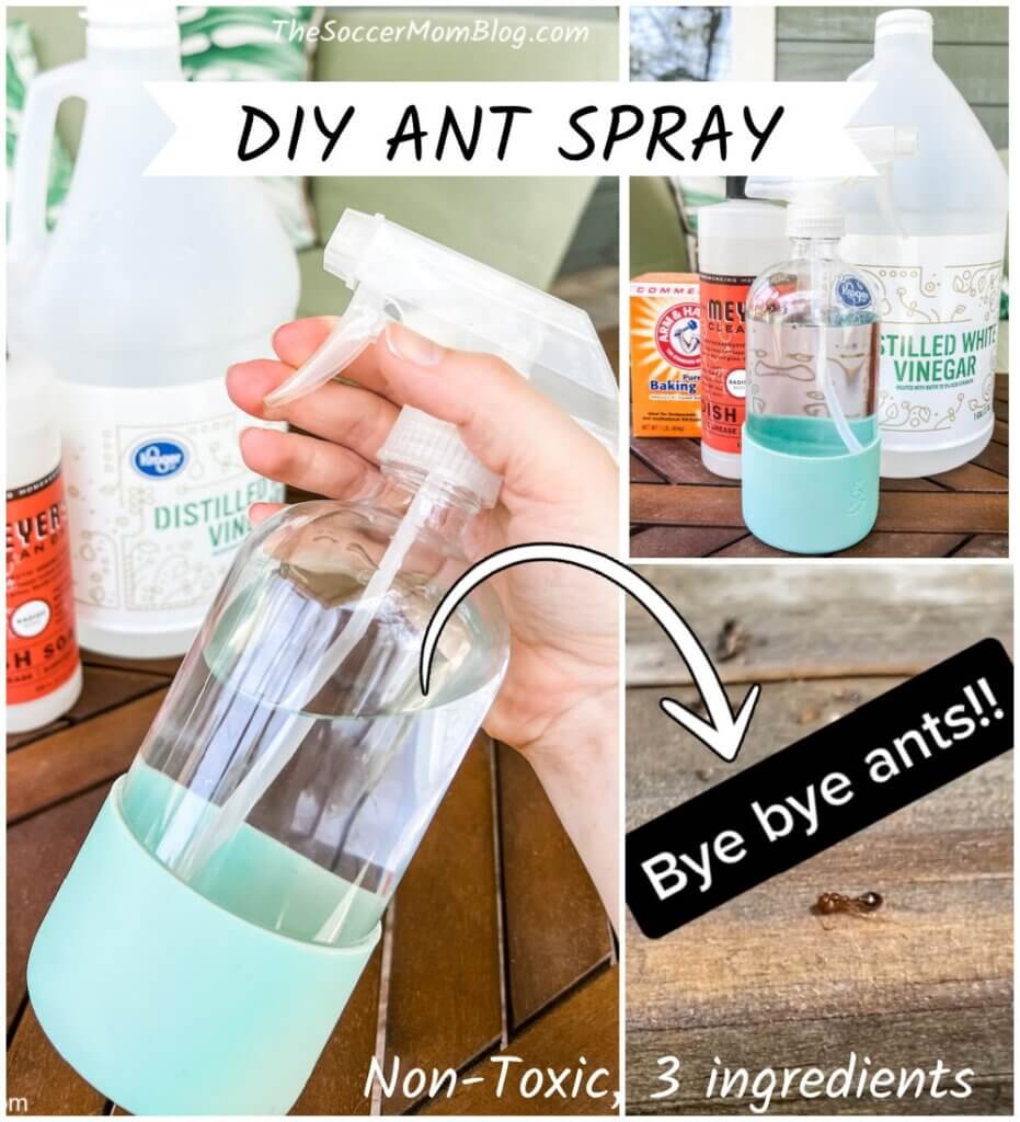 collage image with text overlay showing DIY ant spray