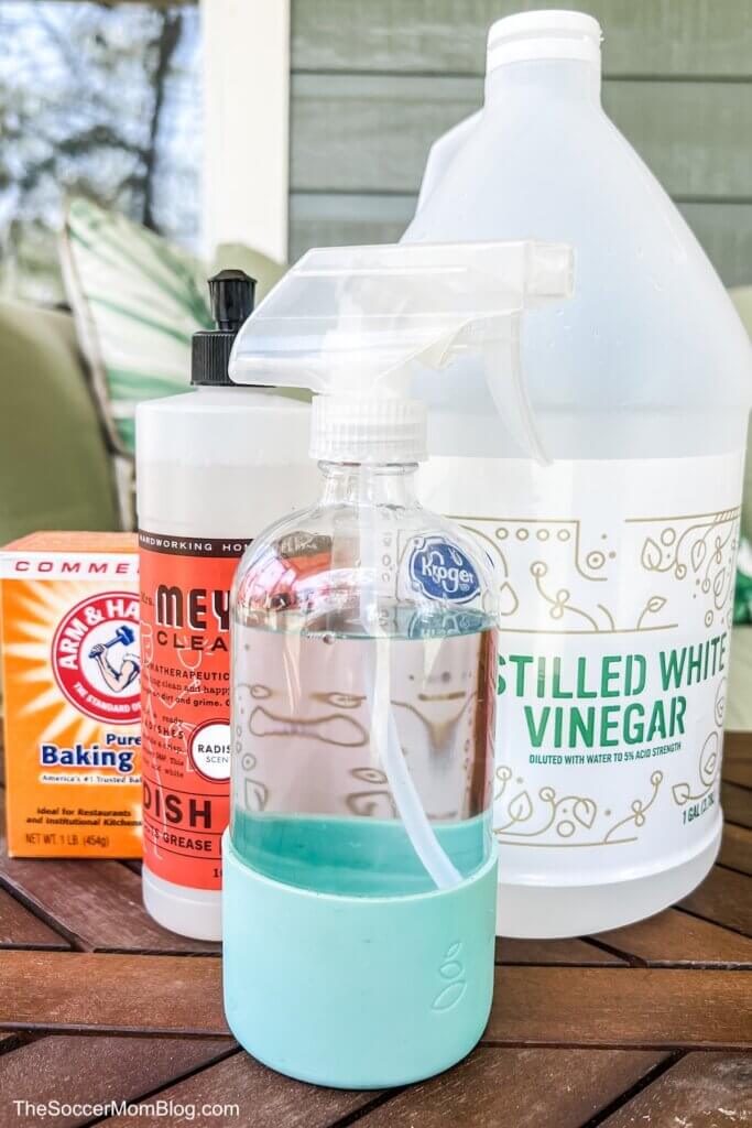 ingredients to make DIY ant repellent spray