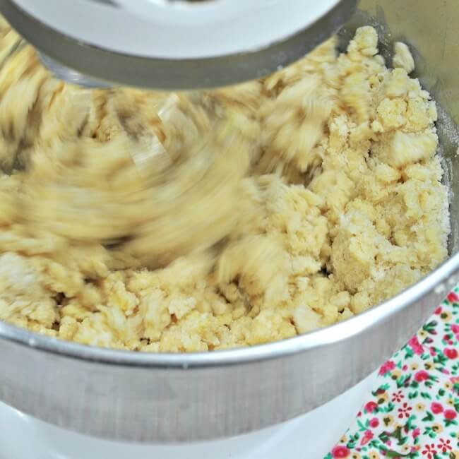 Making blackberry crumble bars dough in mixer