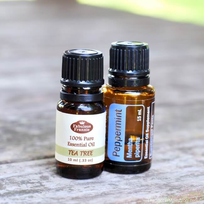 Tea tree oil and peppermint oil bottles