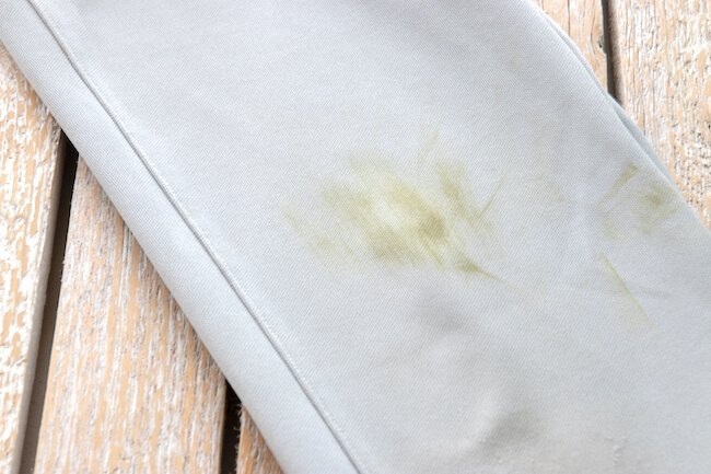 grass stains on baseball uniform pants