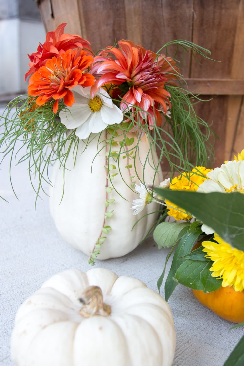 These gorgeous mini pumpkin vases are the perfect way to display fresh flowers for fall or a unique Thanksgiving centerpiece.