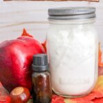 Our easy DIY Carpet Deodorizer will make your home smell amazing, just like a fresh apple pie! This natural carpet deodorizer powder is easy to make, works on tough odors, and is safe to use in a home with kids and pets.