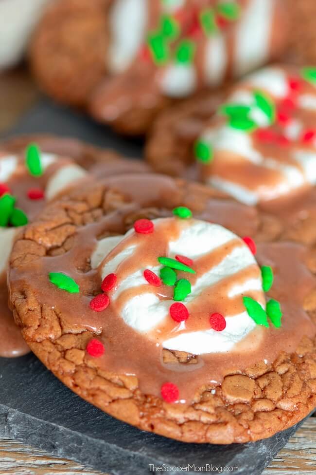 close up of hot chocolate cookie with marshmallow center