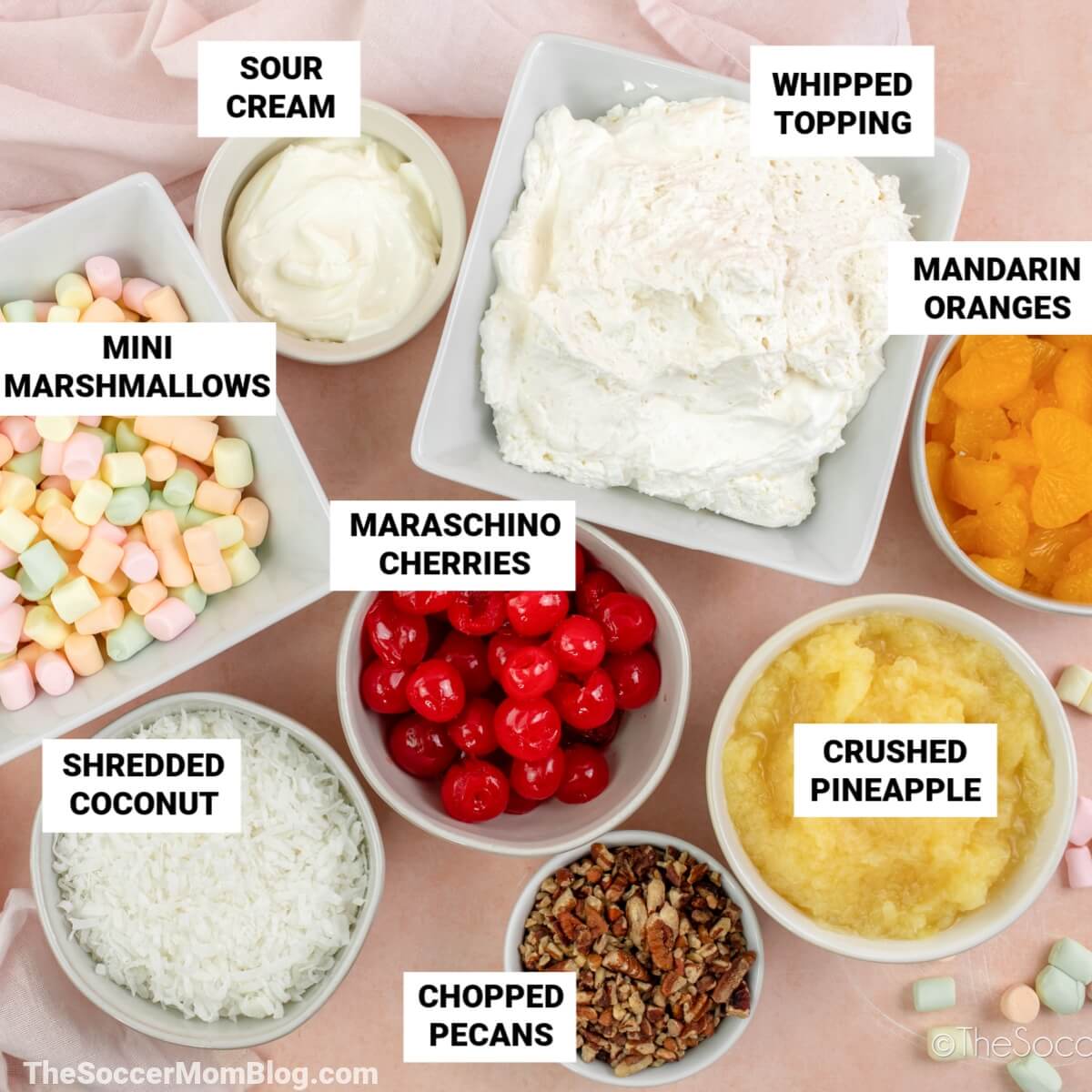 ingredients to make ambrosia salad, with text labels