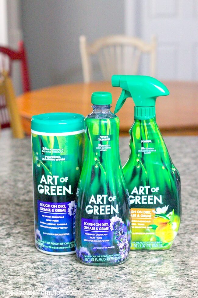 Art of Green cleaning products