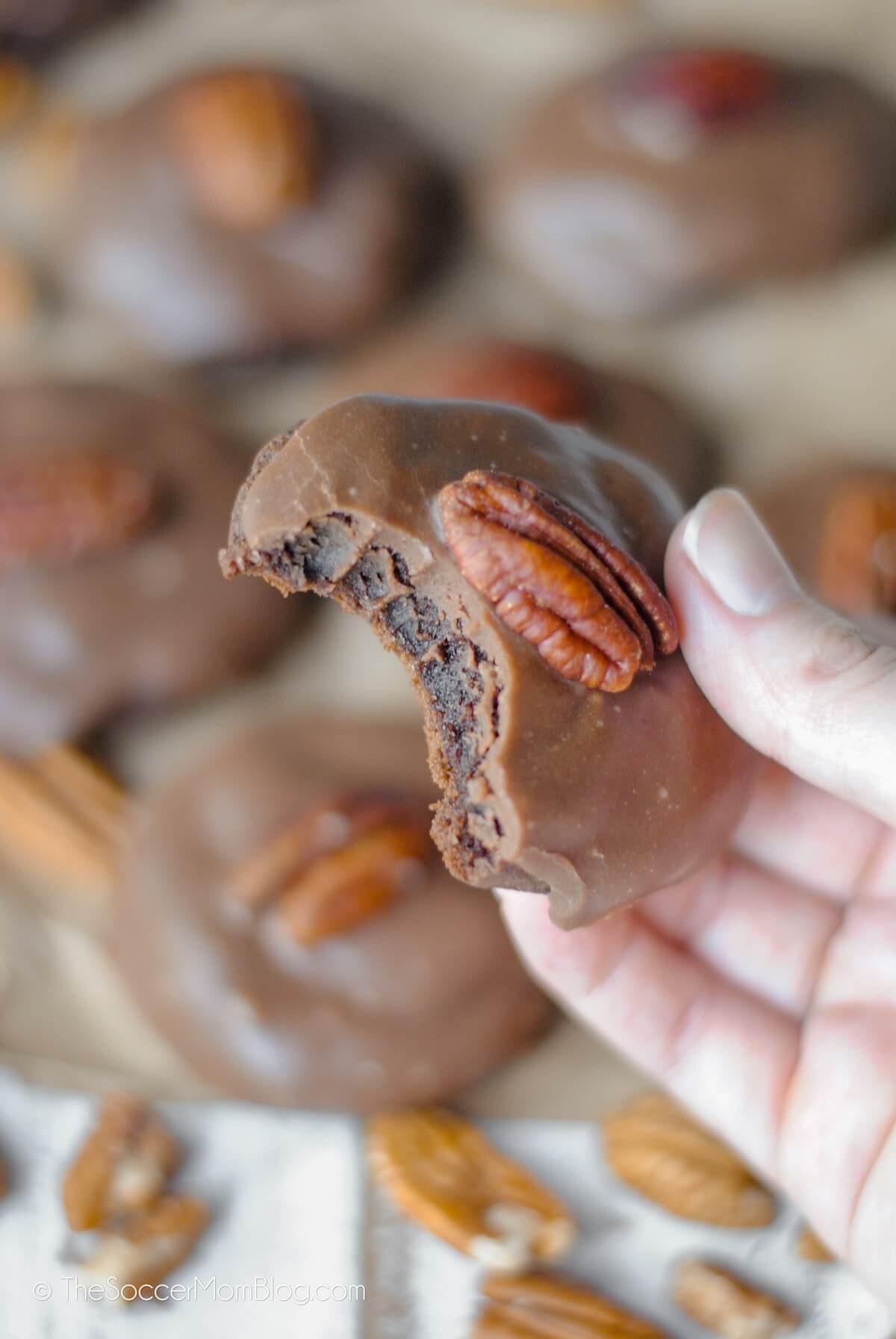 hand holding a chocolate cookie with fudge icing and a pecan half, with a bite taken.