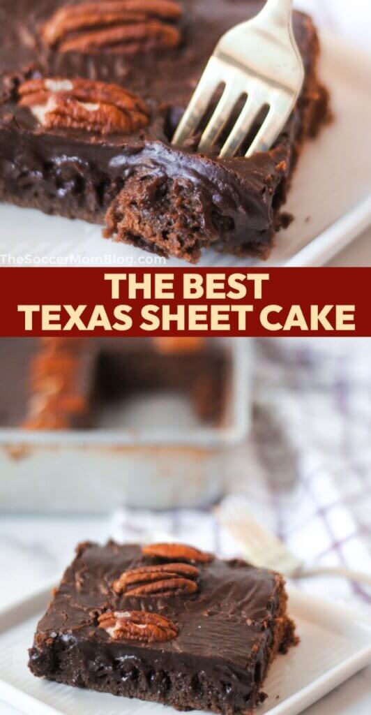 2 photo collage of a chocolate sheet cake topped with pecans; text overlay "The Best Texas Sheet Cake".