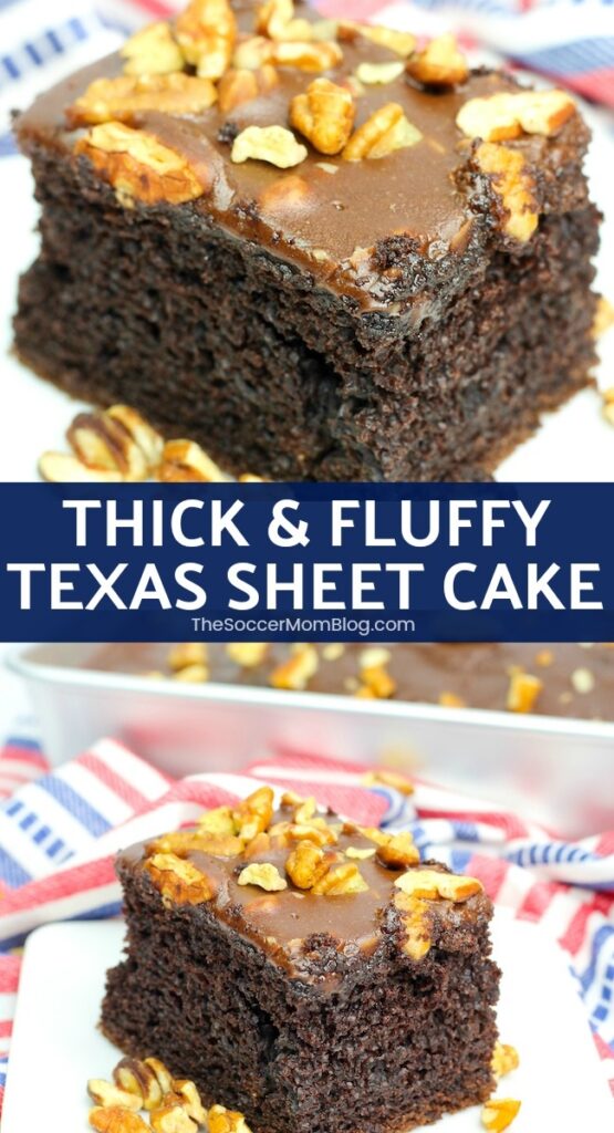 Extra thick and fluffy Texas Sheet Cake is a delicious twist on the classic chocolate lovers dessert!