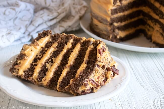Feed your sweet tooth with this Layered Chocolate Pumpkin Cake! Chocolate and pumpkin team up to make a delicious treat!