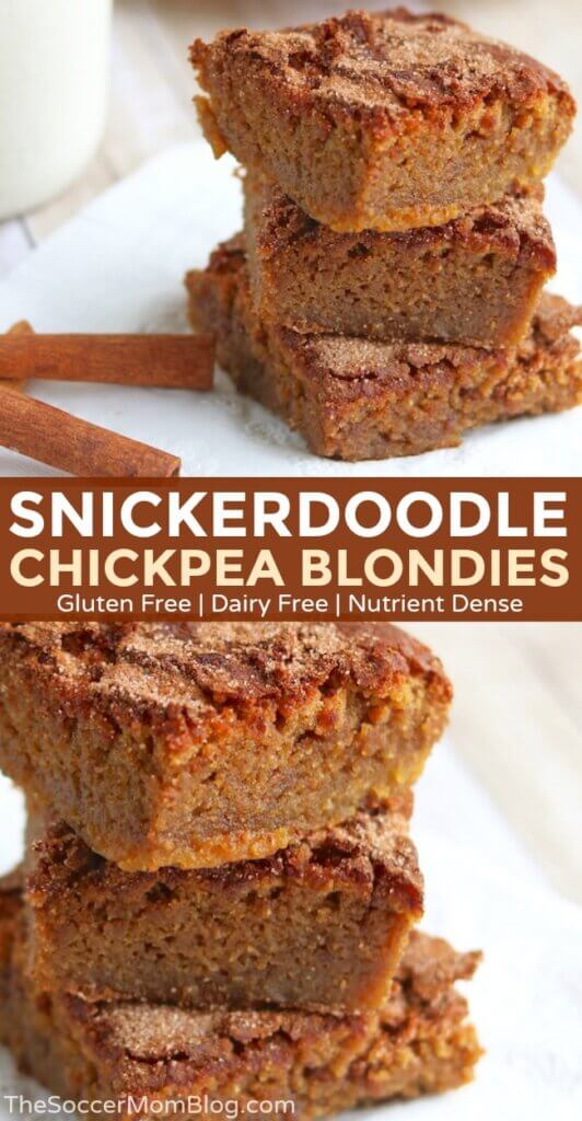 These delicious and healthy Snickerdoodle Chickpea Blondies taste so darn good! Rich and chewy with tons of sweet, spicy cinnamon - gluten and dairy free!