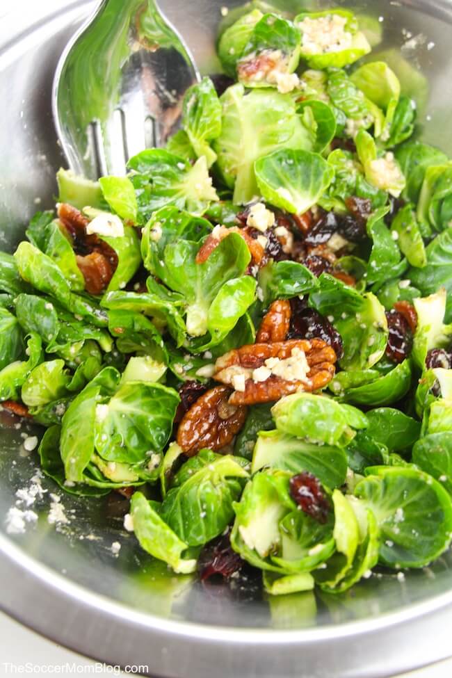 This Bacon and Brussels Sprout Salad with Poppyseed Vinaigrette is delicious and healthy! Plus, you can use the Poppyseed Vinaigrette on anything!