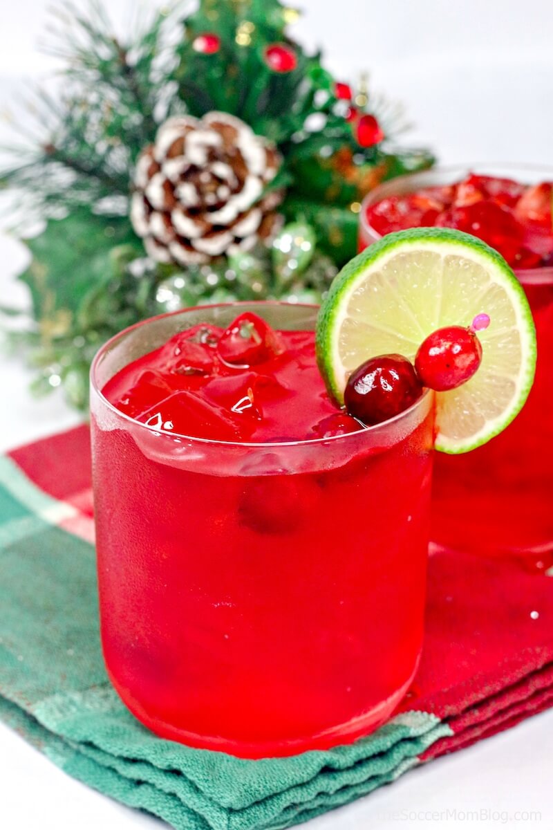 Get into the holiday spirit with a fabulously festive Christmas margarita! These cranberry margaritas are absolutely beautiful and easy to make!
