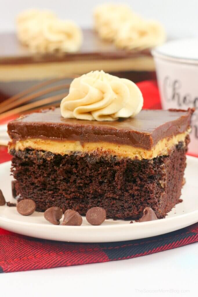 This Chocolate Peanut Butter Texas Sheet Cake is a chocolate and peanut butter lover's dream come true! Fluffy chocolate sheet cake topped with rich peanut butter cream and chocolate icing — it's perfection in every bite! If you love Texas sheet cake and you love peanut butter then this is a must try recipe!