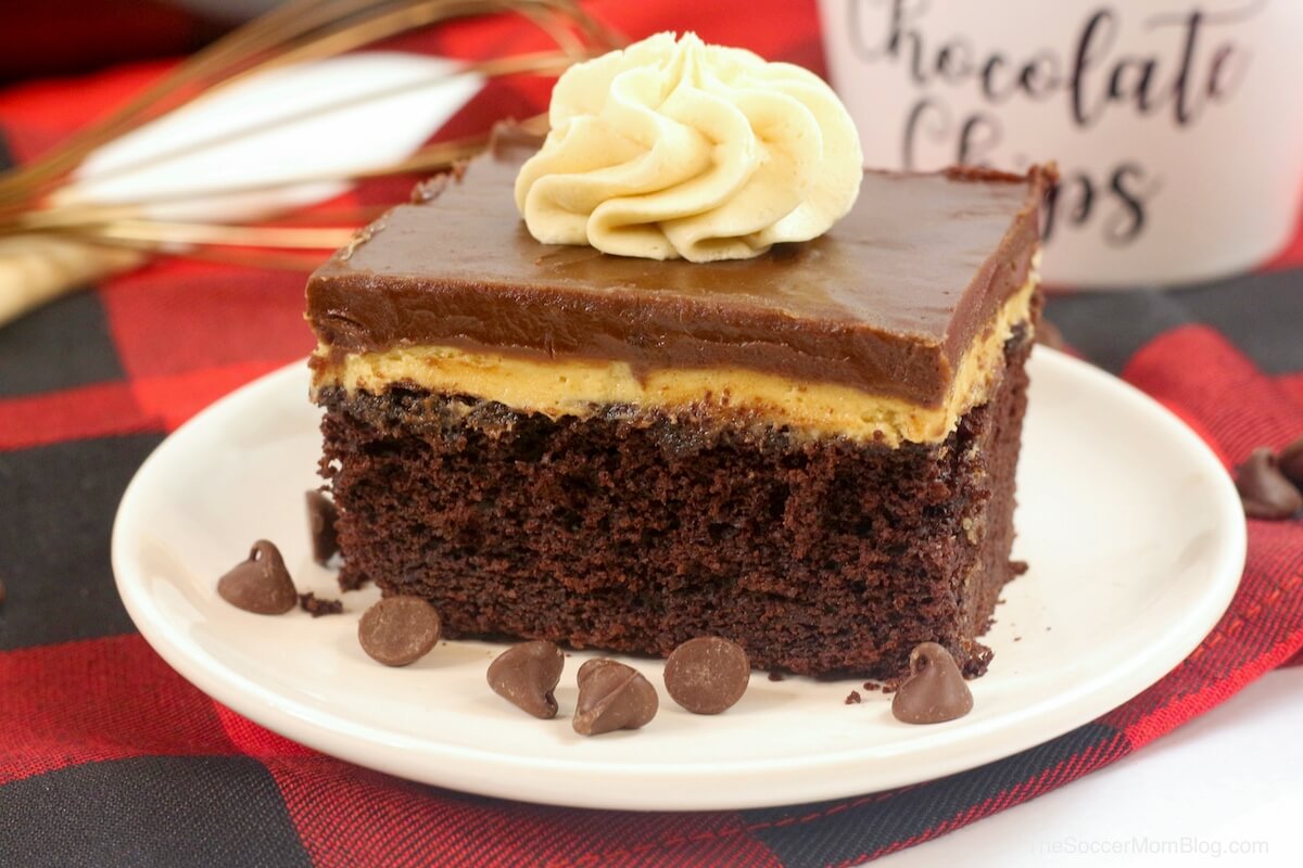 Chocolate Peanut Butter Texas Sheet Cake: fluffy chocolate sheet cake topped with rich peanut butter cream and chocolate icing — perfection in every bite!