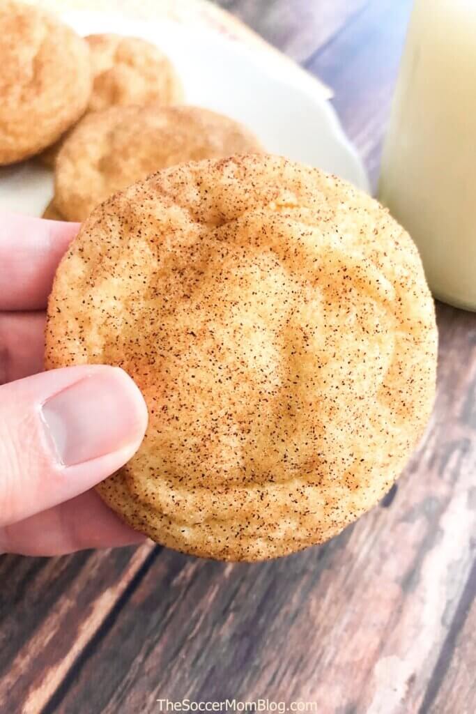 snickerdoodle cookie coated in cinnamon sugar