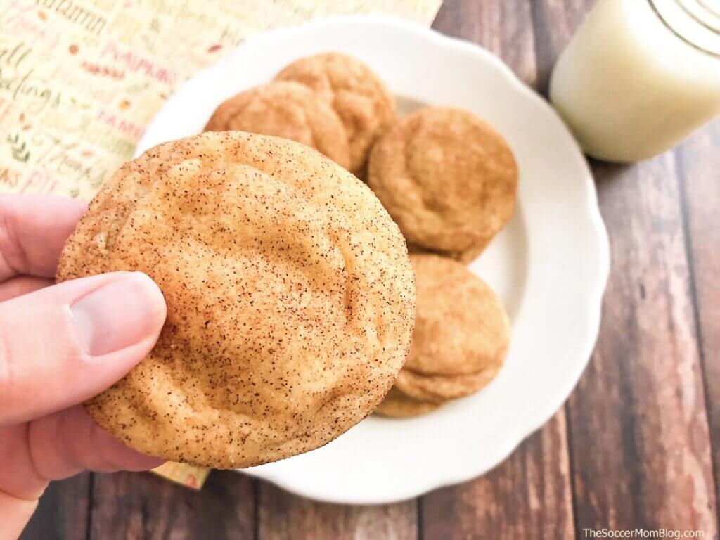 close up of snickerdoodle cookie in hand