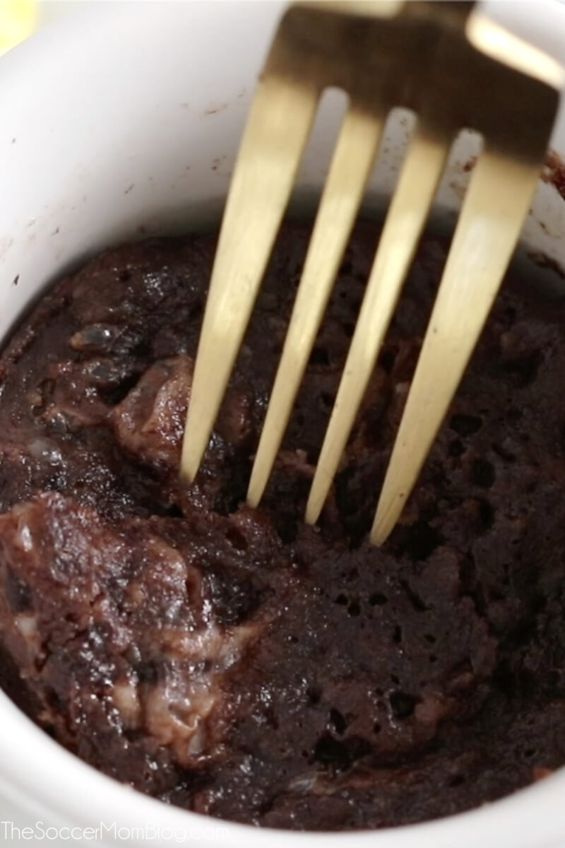 Keto Chocolate Mug Cake – Skinny Mixes