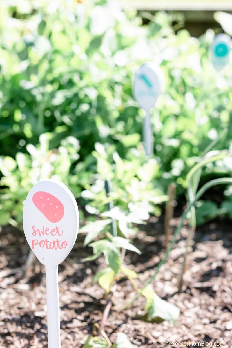 DIY garden markers made with wooden spoons